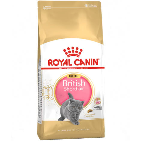 Royal Canin Kitten British Shorthair