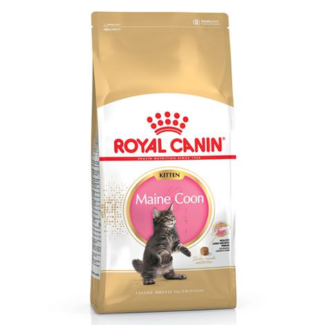 Royal Canin Kitten Maine Coon