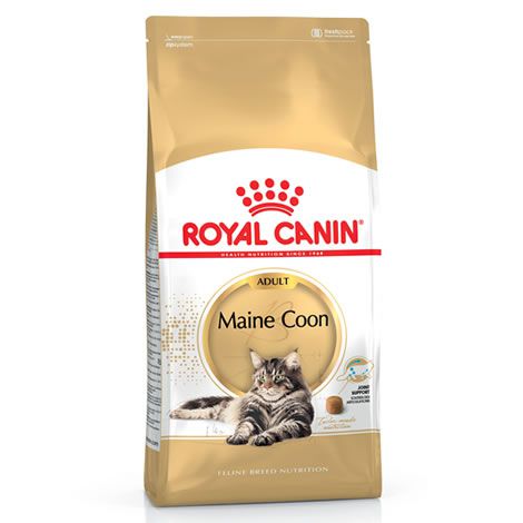 Royal Canin Maine Coon