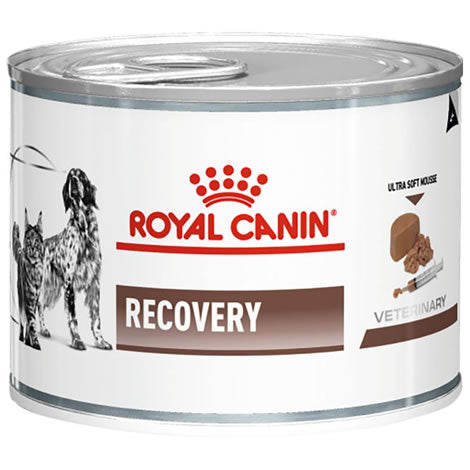 Royal Canin Recovery Húmedo