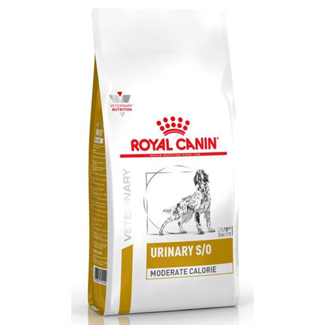 Royal Canin Urinary Dog S/O Moderate Calorie