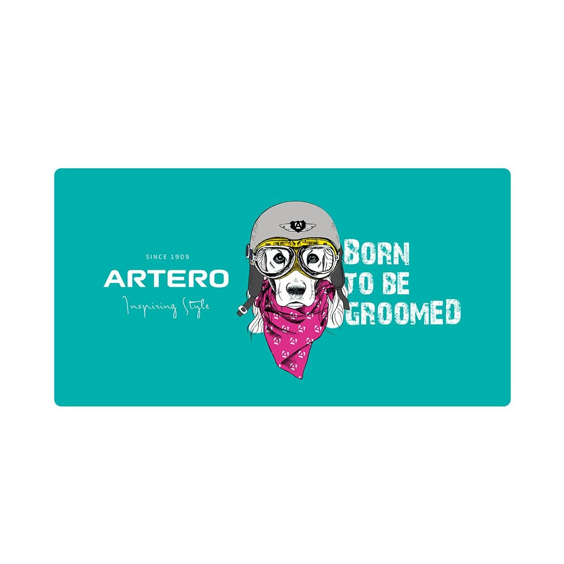 Artero Esterilla  Surf